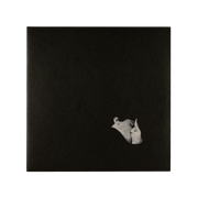 Days Gone By Vinyl