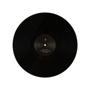 Days Gone By Vinyl