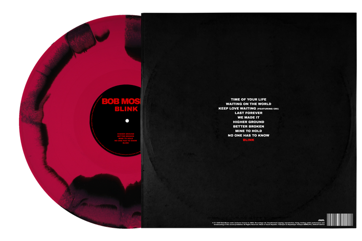 BLINK (SPOTIFY FF VINYL)